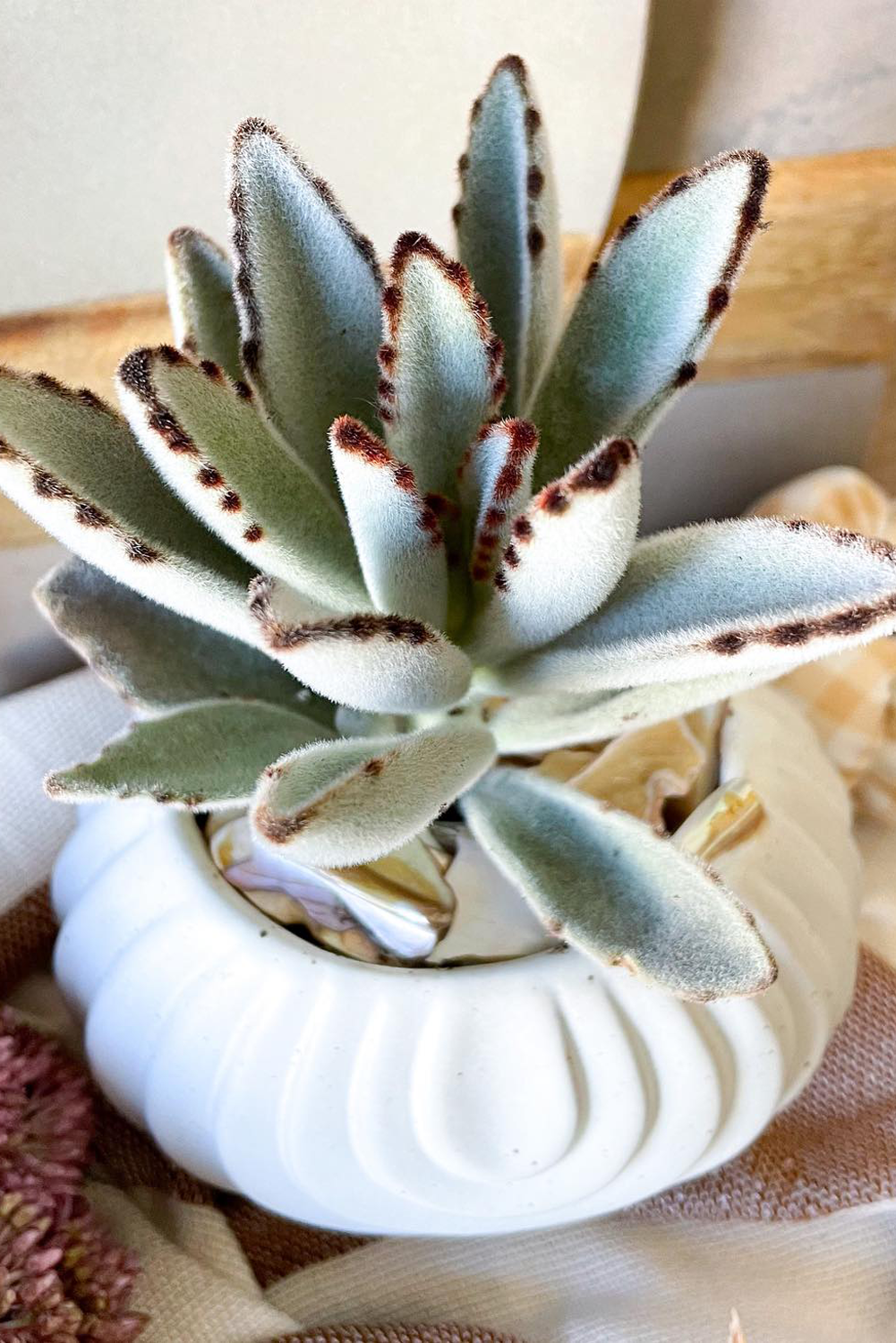 Stoneware Footed Planter