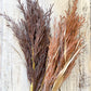 Assorted Faux Grass Plume