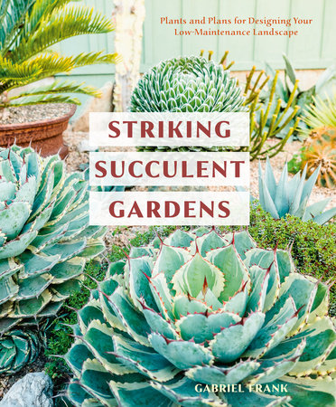 Striking Succulent Gardens Book