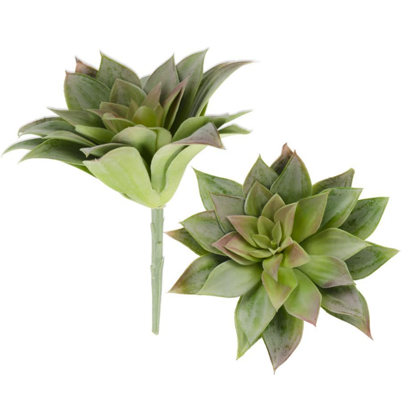 9" Green Sempervivum Succulent Stem