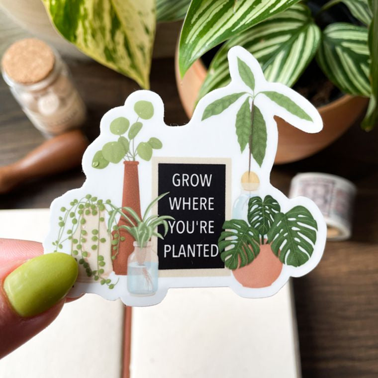 Grow Where You're Planted Sticker